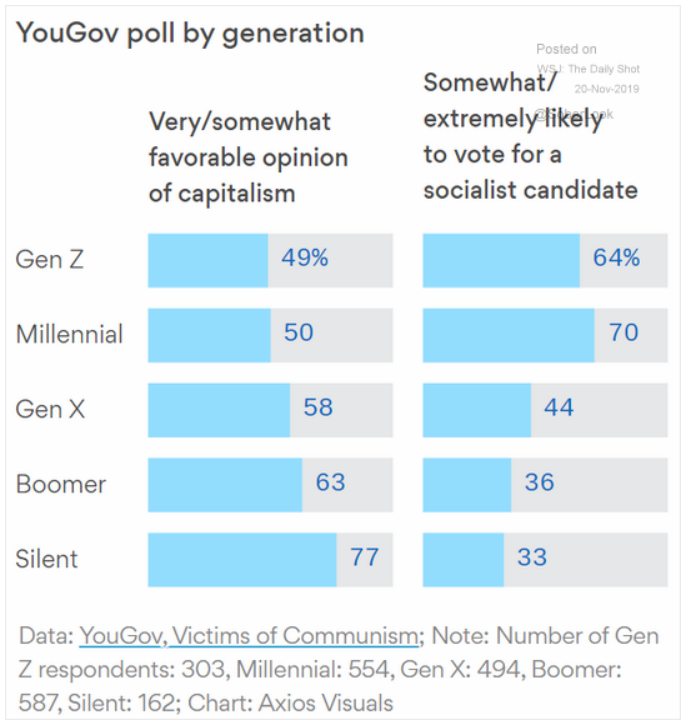 socialism views by generation
